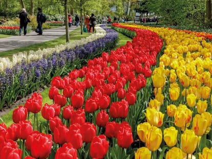 Parque Keukenhof, Lisse (Holanda)