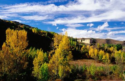 The Cameros hills conceal within their folds a beautiful beech wood, close to the source of the River Iregua. Surrounded by semi-alpine pasture that has served nomadic cattle farmers for centuries, these beech trees account for the last native deciduous forest in the region.