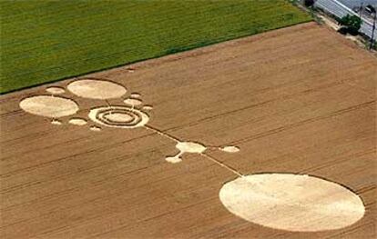 Imagen aérea de los círculos que han aparecido en un campo de trigo en la localidad californiana de Rockwell.