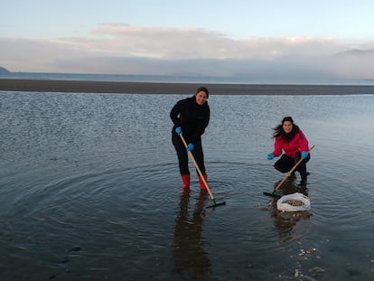 Las biólogas Seila Díaz y Alicia L. Bruzos, en una jornada de recogida de berberechos en la ría de Noia (A Coruña), en 2019.