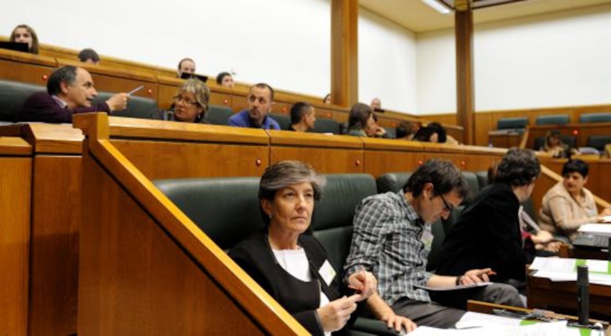 El PNV y EH Bildu encallan en su deseo de avanzar hacia la oficialidad ...