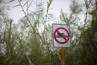 Un letrero perdido entre la maleza indica que está prohibido cruzar el río Bravo, en la frontera entre México y Texas.