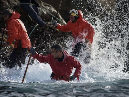 Percebeiros en plena faena en Cangas do Morrazo (Pontevedra).