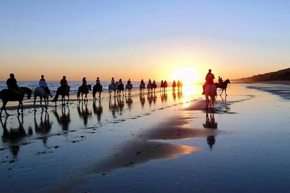 Un playazo que admita la equitación en verano es algo casi exclusivo del espacio natural de Doñana. A primera hora del día y a última de la tarde empiezan los paseos de Arte Andaluz (www.arteandaluz.es) por una playa infinita escoltada por un acantilado de dunas fósiles. Chapoteando al paso y en fila india, los jinetes, mayormente novatos, reciben la brisa del Atlántico. Siempre se pasa por la ruinosa torre vigía del Loro, protagonista de numerosas filmaciones.