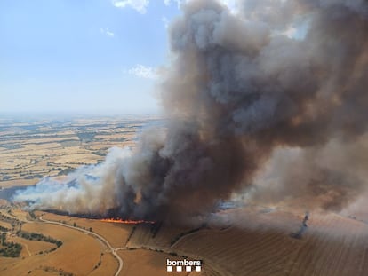 Un incendio quema campos de cultivo en Cervera, Lleida, este sábado, en una imagen de los Bomberos.