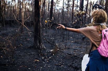 Monte quemado en Galicia durante los &uacute;ltimos incendios.