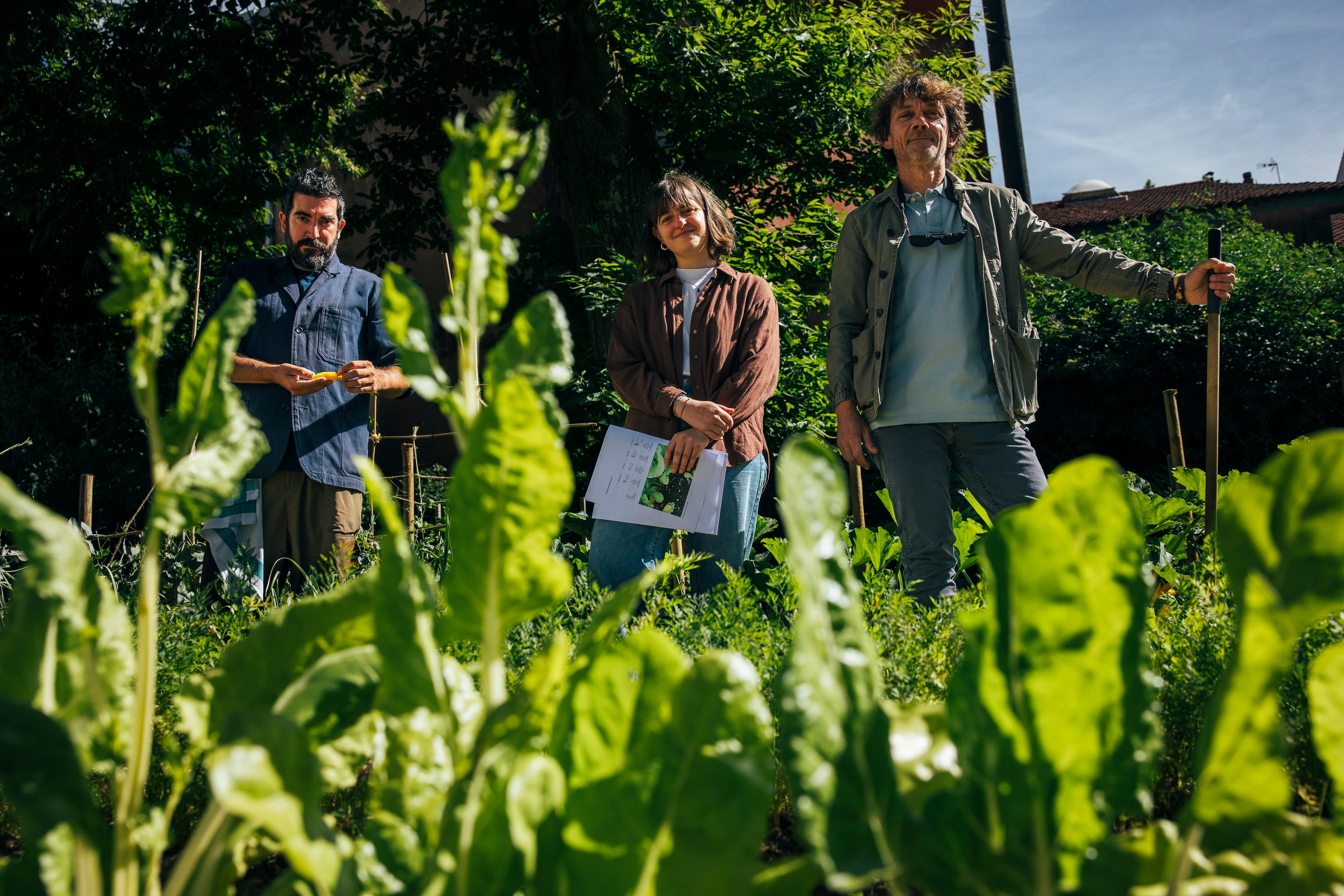 En la huerta gallega de David Chipperfield: donde recuperar vegetales olvidados se traza con tiralíneas