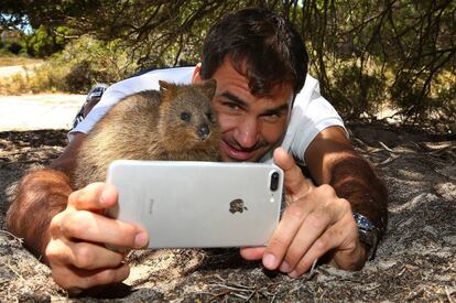 Roger Federer se hace un selfie con un quokka en Rottnest Island (Australia).