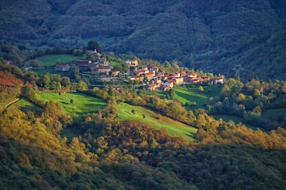 Las más de 55.000 hectáreas que forman el parque natural de las Fuentes del Narcea, Degaña e Ibias, en el suroccidente asturiano, están reconocidas por la Unesco como Reserva de la Biosfera, e integradas en la Red Natura 2000. Tiene como pobladores de excepción el roble y el oso pardo, y también son significativos los bosques de hayedos y el urugallo cantábrico. Dentro de este parque que abarca la cuenca alta de los ríos Ibias y Narcea y se extiende por los concejos de Cangas del Narcea, Degaña e Ibias se encuentran la reserva natural Parcial del Cueto de Arbás y la reserva natural integral del Bosque de Muniellos (este espacio natural tiene restringidas las visitas, que se pueden solicitar 'online' en esta web: <a href="https://sede.asturias.es/portal/site/Asturias/menuitem.46a76b28f520ecaaf18e90dbbb30a0a0/?vgnextoid=c8e6799a28d4f010VgnVCM100000b0030a0aRCRD" target="_blank">sede.asturias.es/portal</a>). <br></br> Más información: <a href="http://www.fuentesdelnarcea.org/espacio-natural/el-paraiso-mas-natural/parque-natural-de-las-fuentes-del-narcea--degana-e-ibias_346_10_338_0_1_in.html" target="_blank">fuentesdelnarcea.org</a>