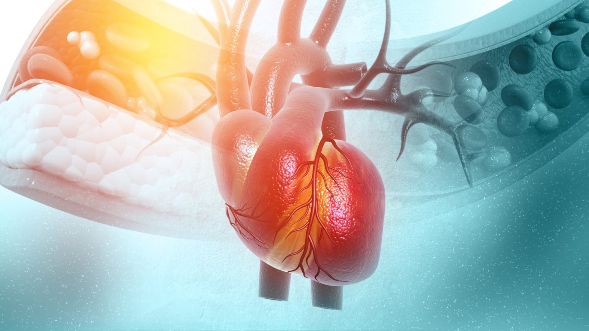 Enfermedades cardiovasculares, primera causa de muerte en México | Sociedad | EL PAÍS