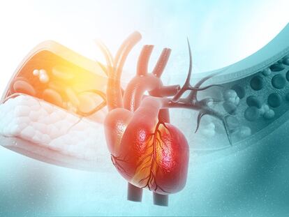 Enfermedades cardiovasculares, primera causa de muerte en México