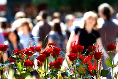 Seis millones de rosas para Sant Jordi