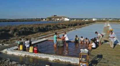 Fotografa cedida por el Centro de Recursos Ambientales "Salinas de Chiclana", en la Salina Santa Mara de Jess, que ofrece este curioso "spa salino", unos ba?os curativos para piernas y brazos que aprovechan la calidad de unas aguas procedentes del mar y que pasan entre uno y dos meses expuestas a los efectos del sol y el viento.