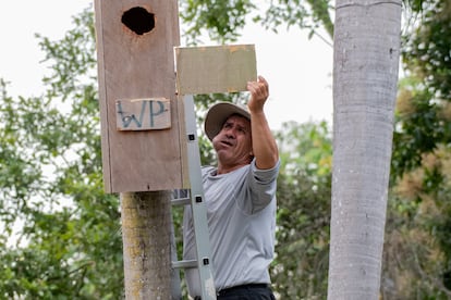 César Flores Aguilera, guardaparques y gran conocedor de la especie.
