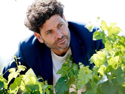En la imagen, David Seijas, entre viñedos. Imagen proporcionada por el sumiller.