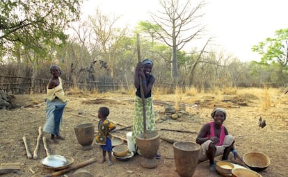 Varias mujeres de la familia Soure preparan la cena en Nandoumary. De izquierda a derecha: Muminatou, Babaen, Oumou y Ayiyatou. Al final de la estación seca la comida y el agua escasean. Los aldeanos se alimentan de los pocos víveres que quedan de la última cosecha de arroz y maíz. También cuentan con cacahuetes, mangos y la fruta del baobab.  
