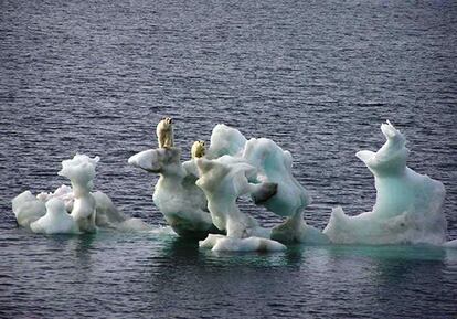 Dos osos polares subidos en lo que queda de un iceberg en el Ártico al norte de Alaska. Los osos polares son una de las especies más amenazadas por el cambio climático.