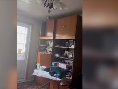 Vídeo terremoto Kamchatka Rusia