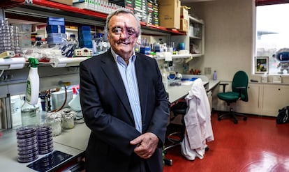 Mariano Barbacid en el laboratorio del CNIO. 