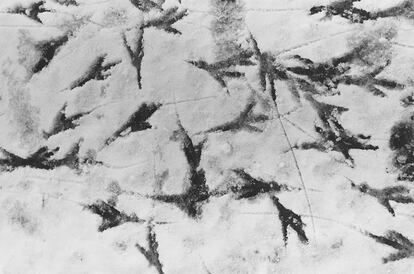 'Wakkanai' (1975), de la serie 'Ravens'