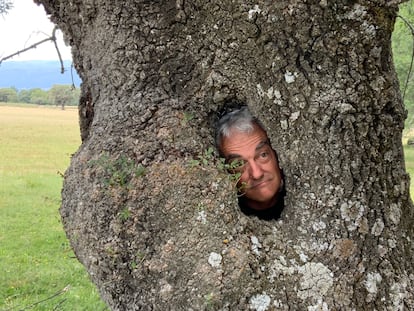 Gerard Passola retratado dentro de un fresno hueco.