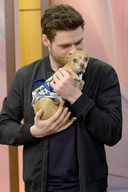 Besa a cachorros en directo (y eso derrite muchos corazones). Durante la promoción de Cenicienta allá por 2015, el actor visitó el plató de Despierta America en Miami y dejó un buen puñado de fotos jugueteando con un cachorro de chihuahua. Las redes sociales y los medios no tardaron en recopilarlas todas animando a sus fans a seguir suspirando por su indiscutible encanto.