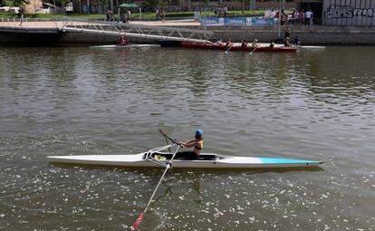 Aficionados al remo practican su deporte en el río Manzanares en el último día antes de abrir la presa nº 9. 