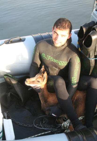 El rebeco, junto a uno de los submarinistas que lo rescataron en alta mar.