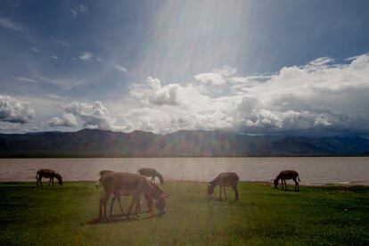 Uma das missões da WUA do Yongoma é proteger o lago Kalemawe. Os rebanhos de cabras e os burros das comunidades masai pastam nos arredores. Quando o nível da água sobe por causa das chuvas, o lago é contaminado pelas fezes dos animais.