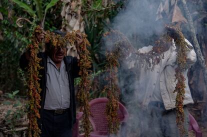 Proyecto de medicina tradicional y rituales   de Malinaltepec, Guerrero.