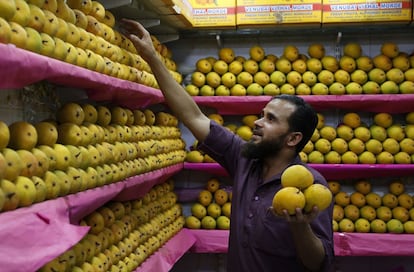 Estanterías llenas de mangos de la variedad Alphonso (considerado el rey de todas las variedades) en una frutería de Mumbai, India. 6 de mayo de 2014.