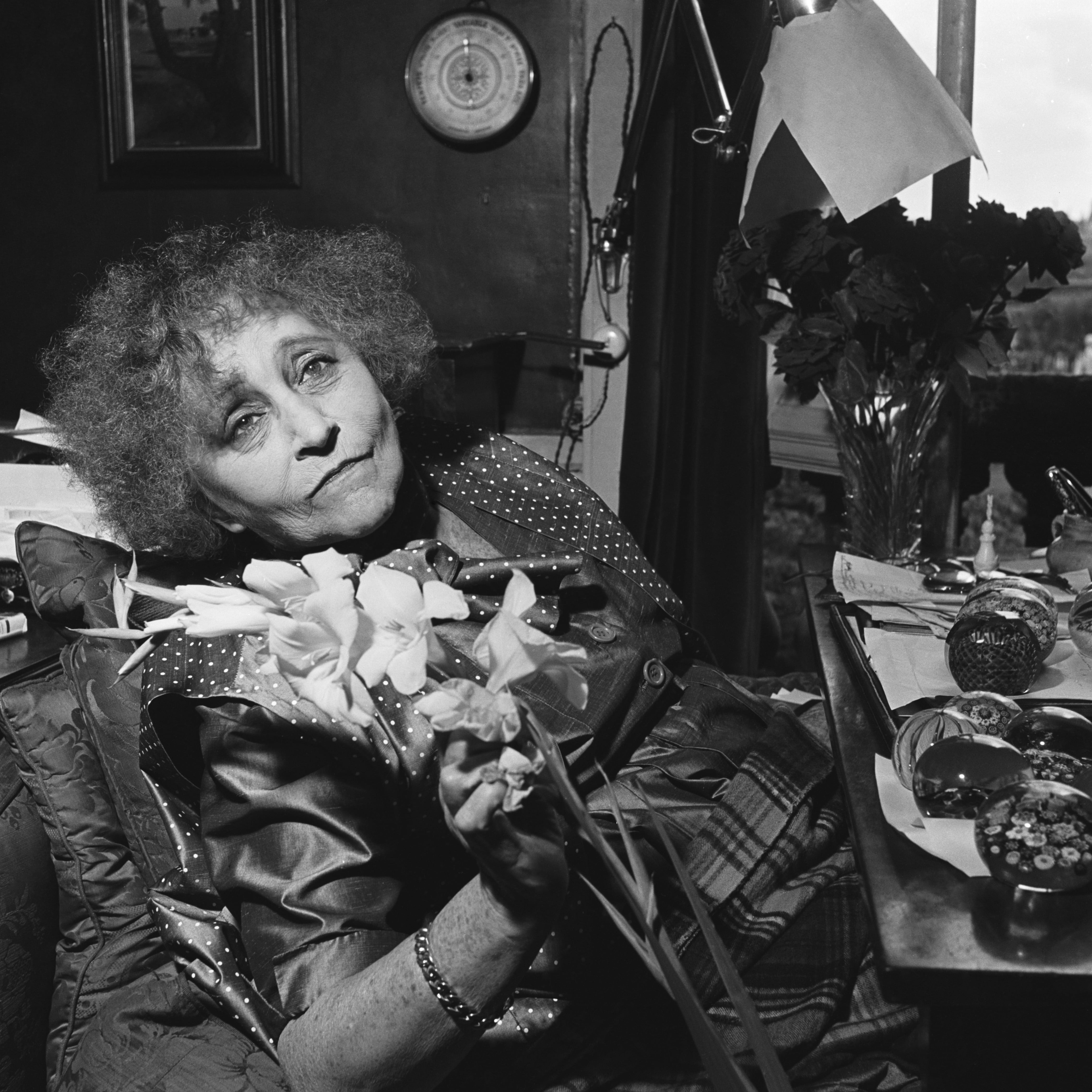 El herbario de Colette: una historia imaginada natural de las flores