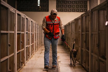 Operativo de rescate animal en Nuevo León.