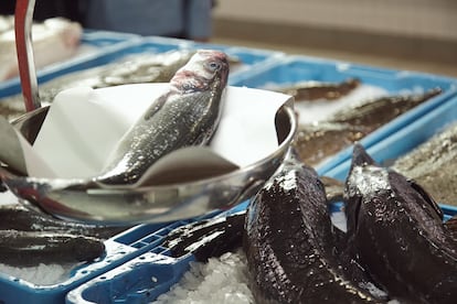 Todos los días de la semana hay pescado disponible en el mercado. Y esa variedad es posible gracias la acuicultura, ejemplo de producción sostenible.