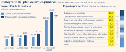 Plan de avales públicos por el Covid-19