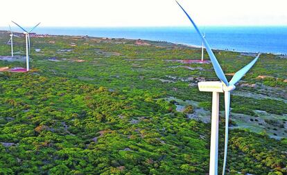 Generadores eólicos de Iberdrola en Río Grande del Norte (Brasil). 