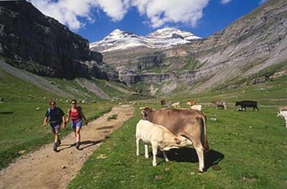 Dos excursionistas en el valle de Ordesa, por la ruta senderista del río Arazas, que conduce a la cascada de la Cola de Caballo. Al fondo, el Monte Perdido.