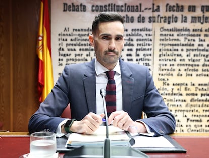 El secretario de Estado de Seguridad, Rafael Pérez, el pasado 25 de octubre en el Senado.