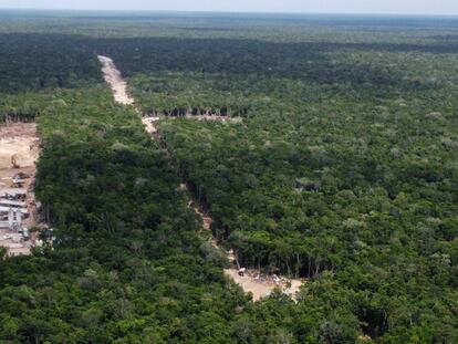 Obras en el terreno designado para la construcción del aeropuerto de Tulum, el pasado 12 de octubre.