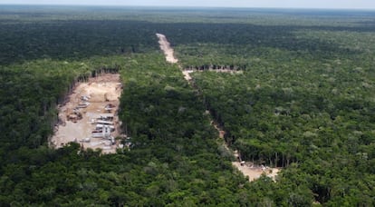 Obras en el terreno designado para la construcción del aeropuerto de Tulum