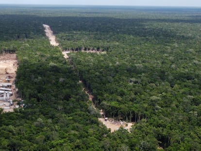 Obras en el terreno designado para la construcción del aeropuerto de Tulum, el pasado 12 de octubre.