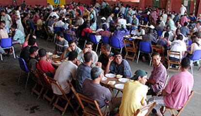 Inmigrantes, ayer, comen en la Universidad Pablo de Olavide.