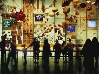 Sala de la biodiversidad en el American Museum of Natural History de Nueva York.