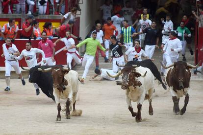 Steers and fighting bulls enter the bullring after the seventh bullrun of the San Fermin festival.