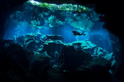 Los cenotes son cavernas anegadas por el agua que horadan toda la península mexicana del Yucatán. Con el tiempo, el techo de las cuevas se hundió comunicándolas con el exterior a través de agujeros que se abren en mitad de la selva. Para los antiguos mayas eran lugares sagrados, puertas de conexión con el inframundo. Uno de los más espectaculares es el de Chac Mool, en la carretera 307 o Ruta de los Cenotes, a 22 kilómetros al sur de Playa del Carmen.