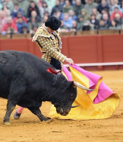 El diestro madrileño en su faena con capote en la corrida que compartió cartel con Morante de la Puebla y José María Manzares.