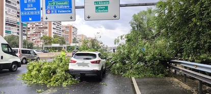 Un árbol cae sobre un coche en la M-30.