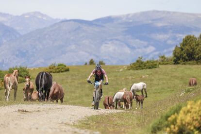 Un ciclista, en plena naturaleza, pedalea durante el recorrido.