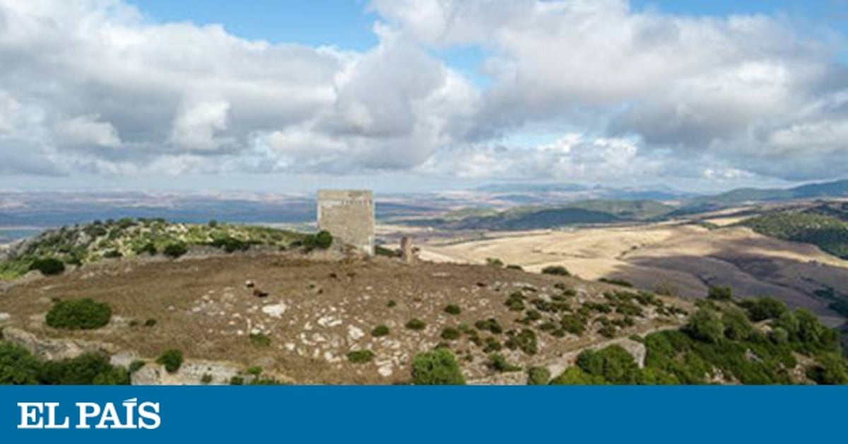 elpais.com