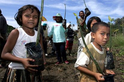 Niños de Banda Aceh llevan pequeños árboles para plantarlos en la playa de Lhok Nga.